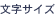 文字サイズ